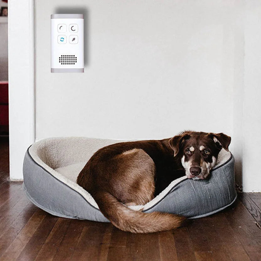 Mini Plug-in Ozon Luftrenser