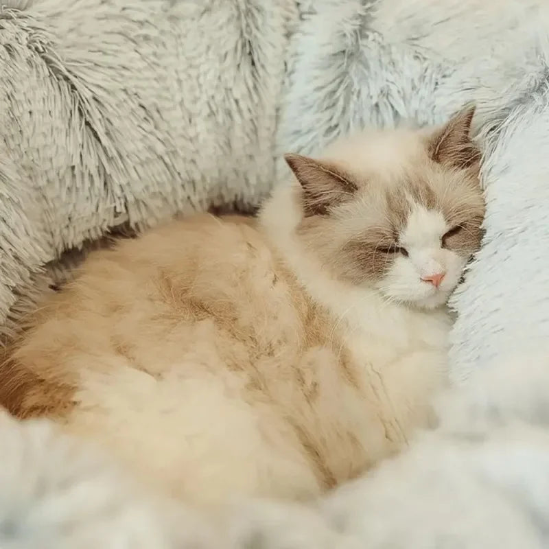 Fluffy Plys Kattetunnel Seng