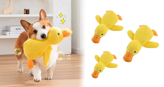 Interaktivt Andeplyslegetøj til Hunde