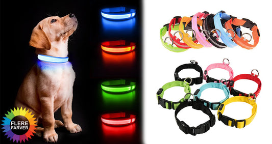 LED Hundehalsbånd – Lysende Sikkerhed i Mørke