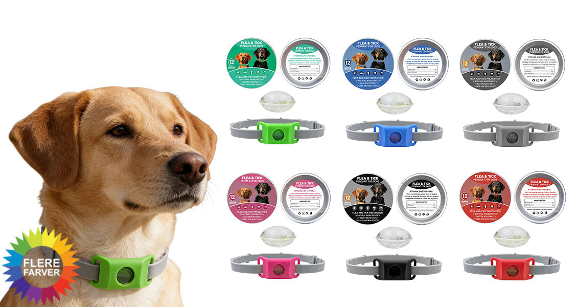 Loppe- og Flåthalskæde til Hund – Naturlig Beskyttelse