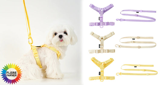 Justerbart Sele- og Snorsæt til Hunde og Katte