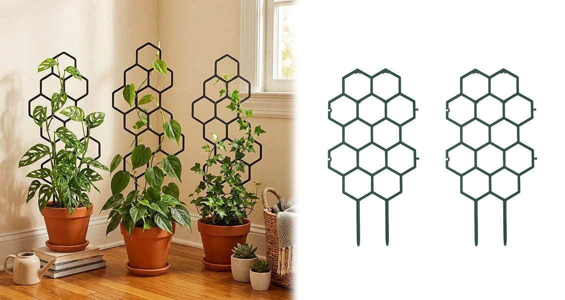 Bikagemønster Plantestøtte Espalier til Klatreplanter