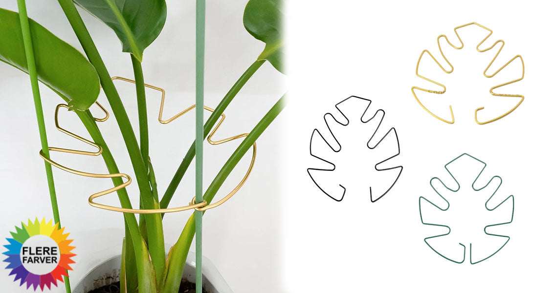 Plantestøtte til Klatreplanter