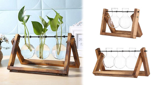 Glasterrarium med Træramme til Planter