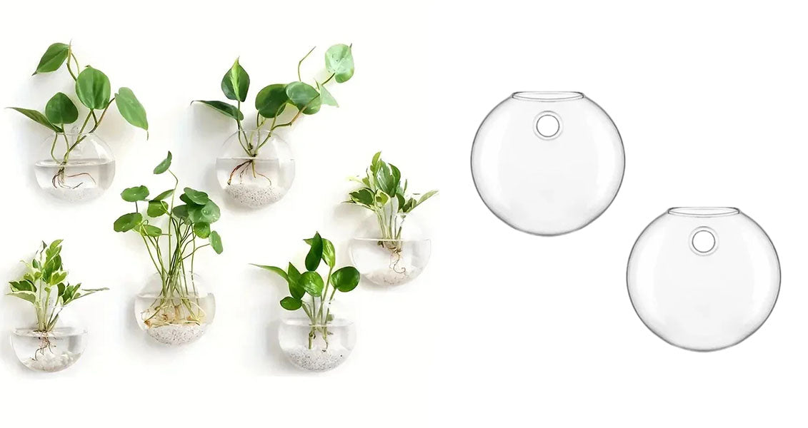 Vægophængt Glas Terrarium Plantesæt