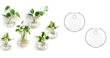 Vægophængt Glas Terrarium Plantesæt