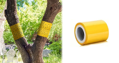 Gul Dobbeltsidet Insekttape 5M