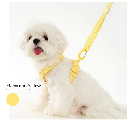 Justerbart Sele- og Snorsæt til Hunde og Katte