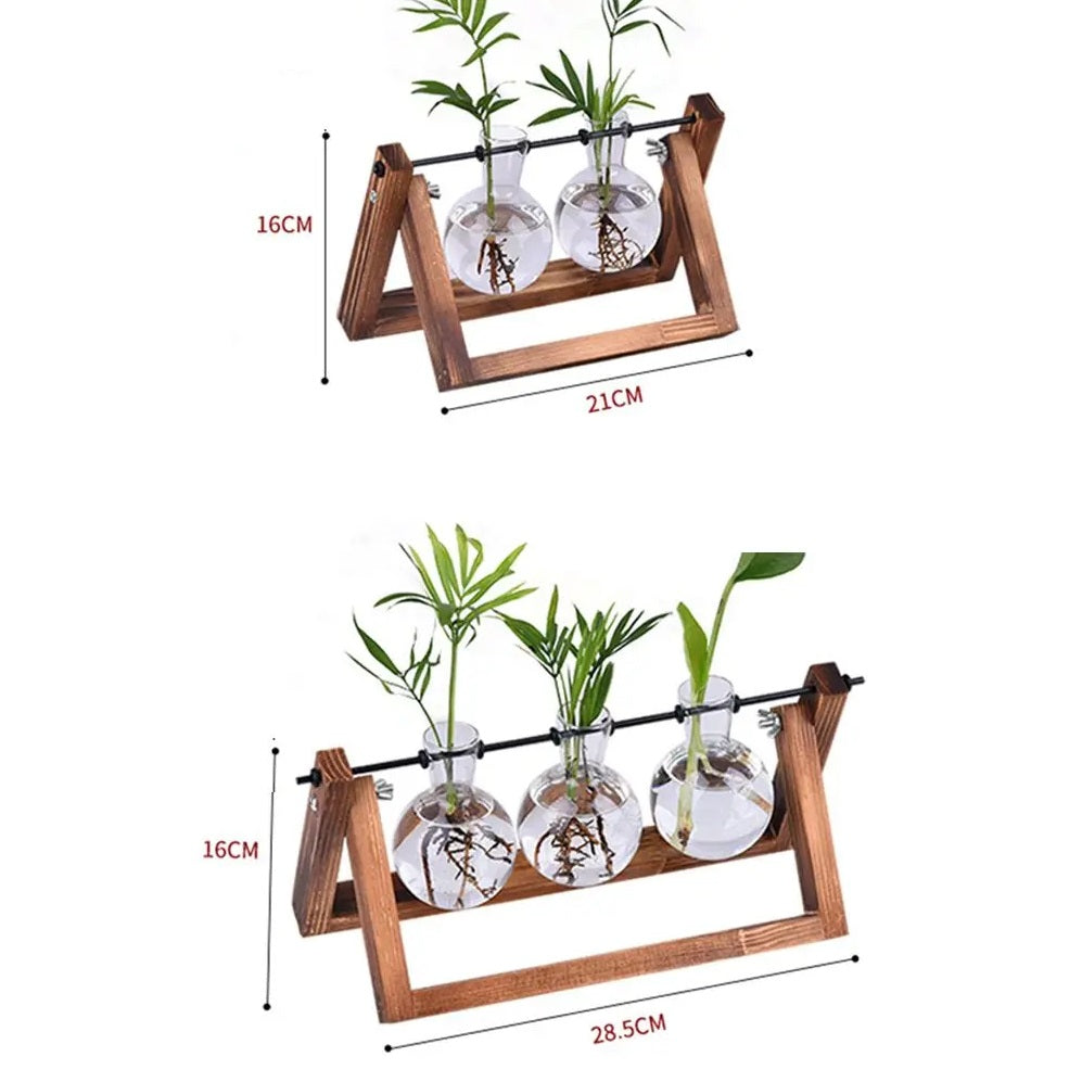 Glasterrarium med Træramme til Planter