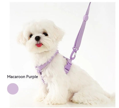 Justerbart Sele- og Snorsæt til Hunde og Katte