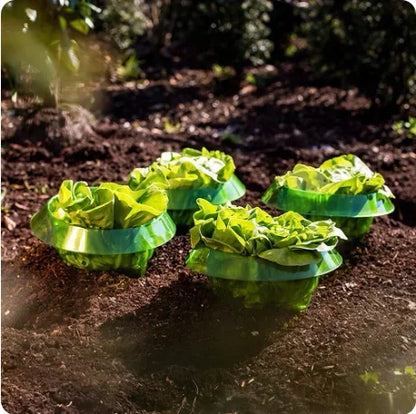 Genanvendelige Sneglekraver til Planter