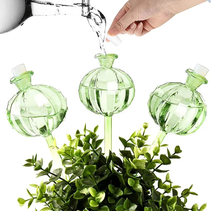 Glas Plante Vandingskugle Dryppesystem