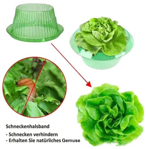 Genanvendelige Sneglekraver til Planter