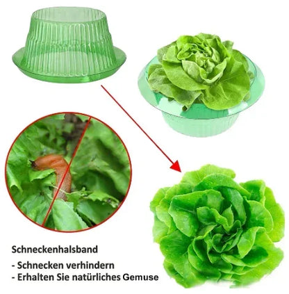 Genanvendelige Sneglekraver til Planter