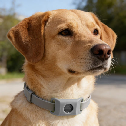 Loppe- og Flåthalskæde til Hund – Naturlig Beskyttelse