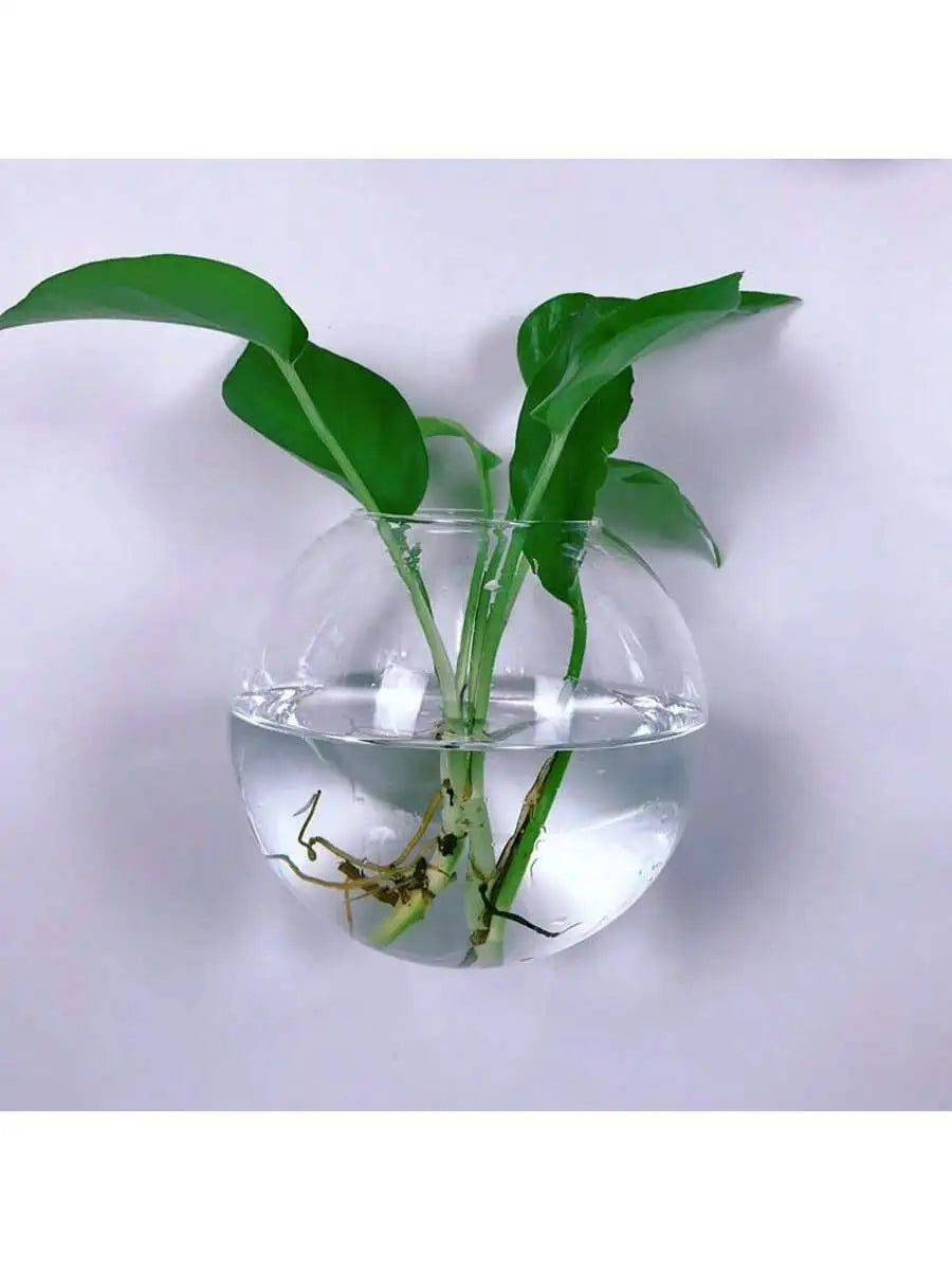 Vægophængt Glas Terrarium Plantesæt