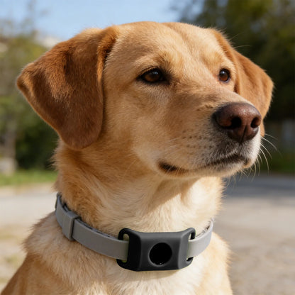 Loppe- og Flåthalskæde til Hund – Naturlig Beskyttelse