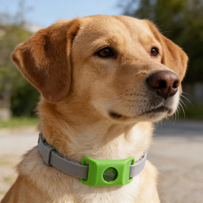 Loppe- og Flåthalskæde til Hund – Naturlig Beskyttelse