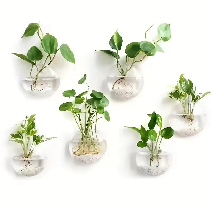 Vægophængt Glas Terrarium Plantesæt
