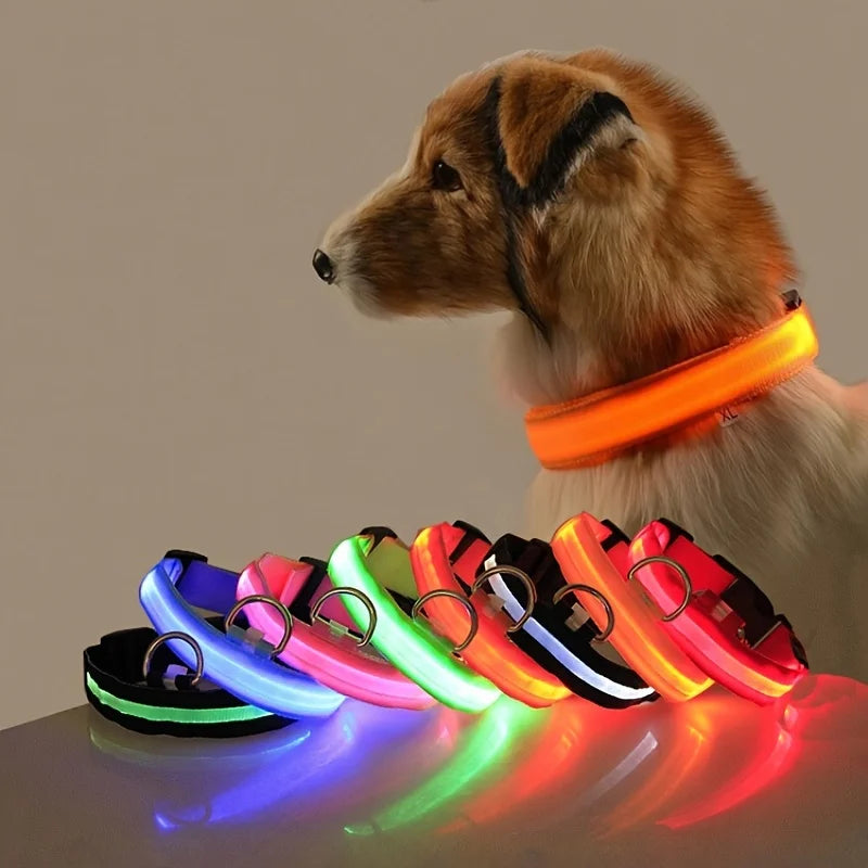 LED Hundehalsbånd – Lysende Sikkerhed i Mørke