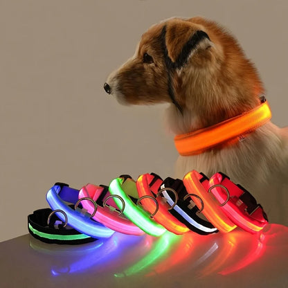 LED Hundehalsbånd – Lysende Sikkerhed i Mørke