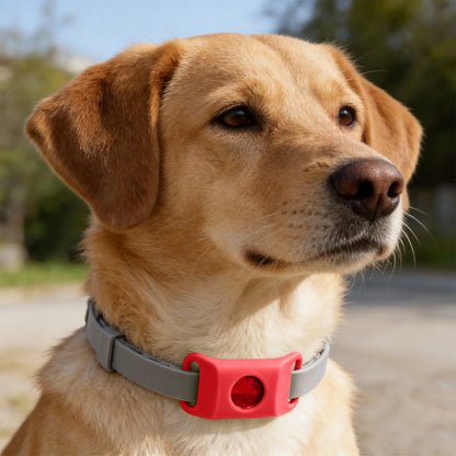 Loppe- og Flåthalskæde til Hund – Naturlig Beskyttelse