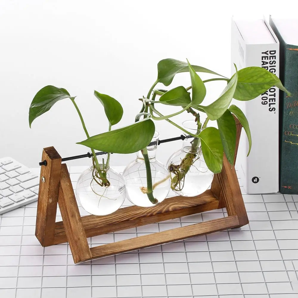Glasterrarium med Træramme til Planter