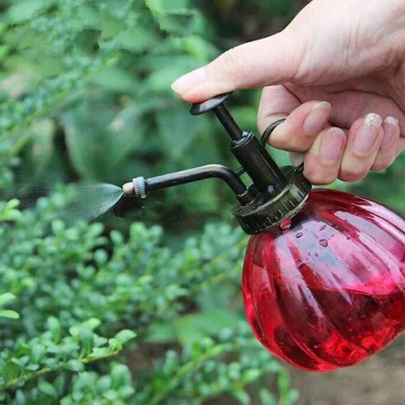 Glas Planteforstøver Sprayflaske