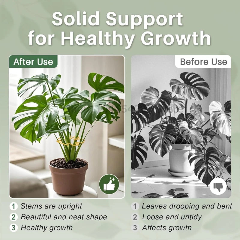 Plantestøtte til Klatreplanter