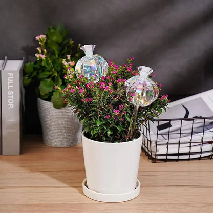 Glas Plante Vandingskugle Dryppesystem
