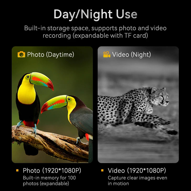 1080P Digital Nattekikkert 10x 800m med Stor Skærm