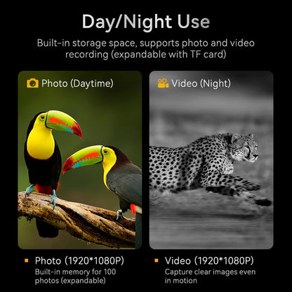 1080P Digital Nattekikkert 10x 800m med Stor Skærm