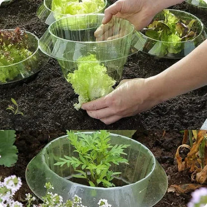 Genanvendelige Sneglekraver til Planter