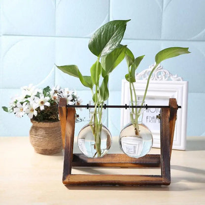 Glasterrarium med Træramme til Planter