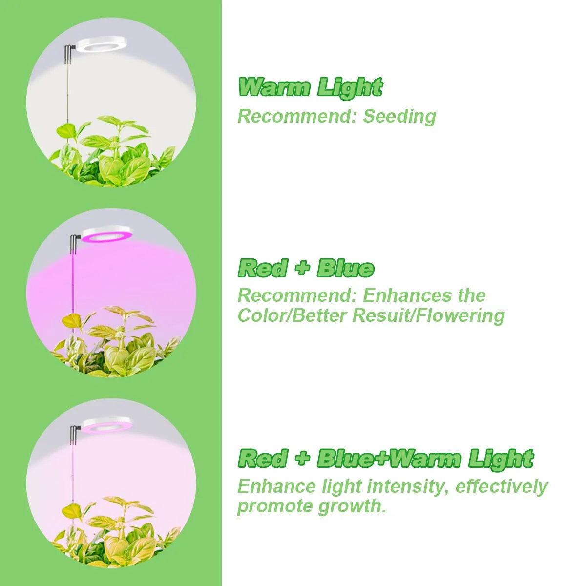 Fuldspektret LED-plantevækstlys til Indendørs Planter