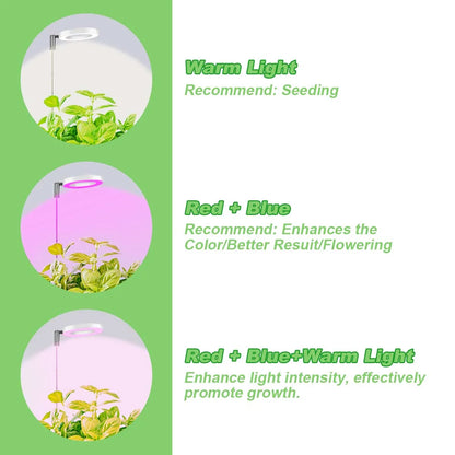 Fuldspektret LED-plantevækstlys til Indendørs Planter