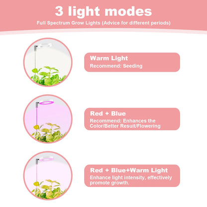 Fuldspektret LED-plantevækstlys til Indendørs Planter