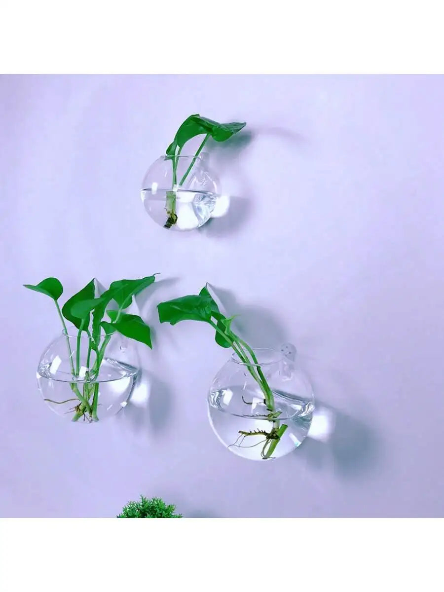 Vægophængt Glas Terrarium Plantesæt