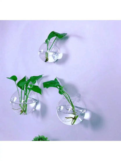 Vægophængt Glas Terrarium Plantesæt