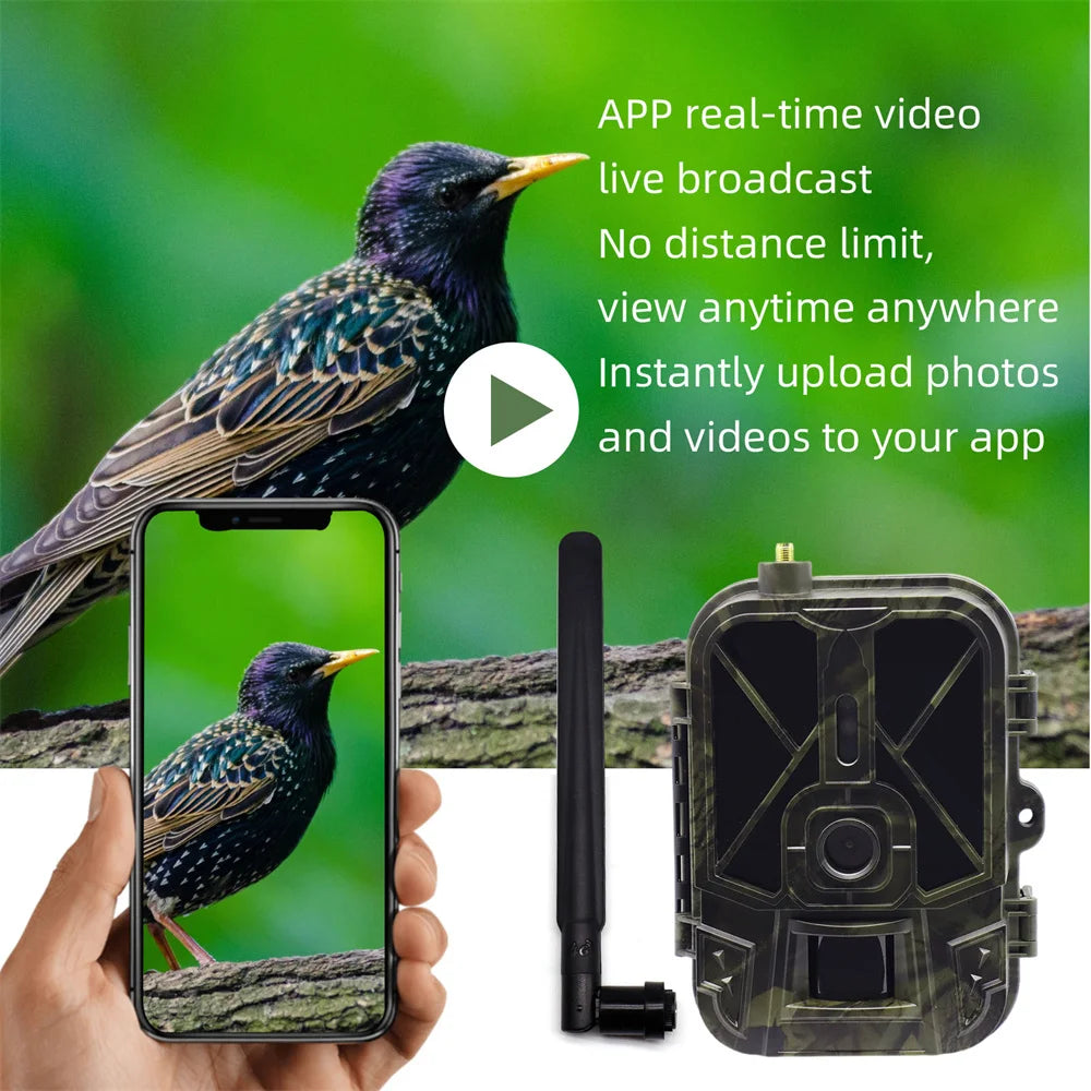 4G Vildtkamera 50MP 4K HD med Natvision