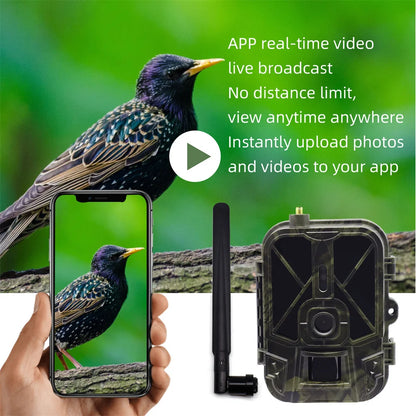 4G Vildtkamera 50MP 4K HD med Natvision