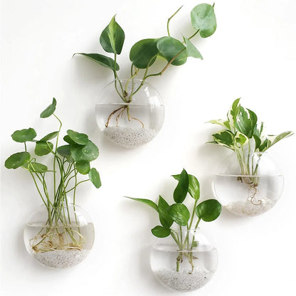 Vægophængt Glas Terrarium Plantesæt