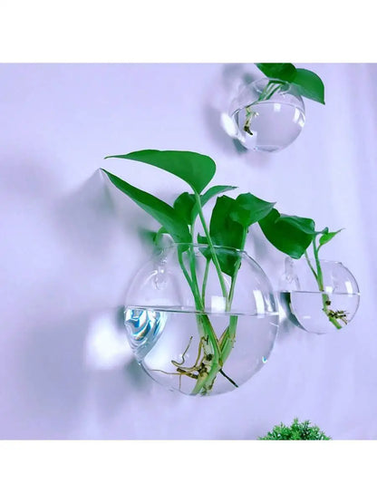 Vægophængt Glas Terrarium Plantesæt