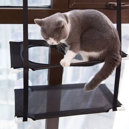 Hængende Katte Vindueshængemad