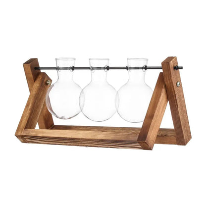 Glasterrarium med Træramme til Planter