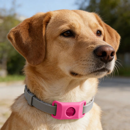 Loppe- og Flåthalskæde til Hund – Naturlig Beskyttelse