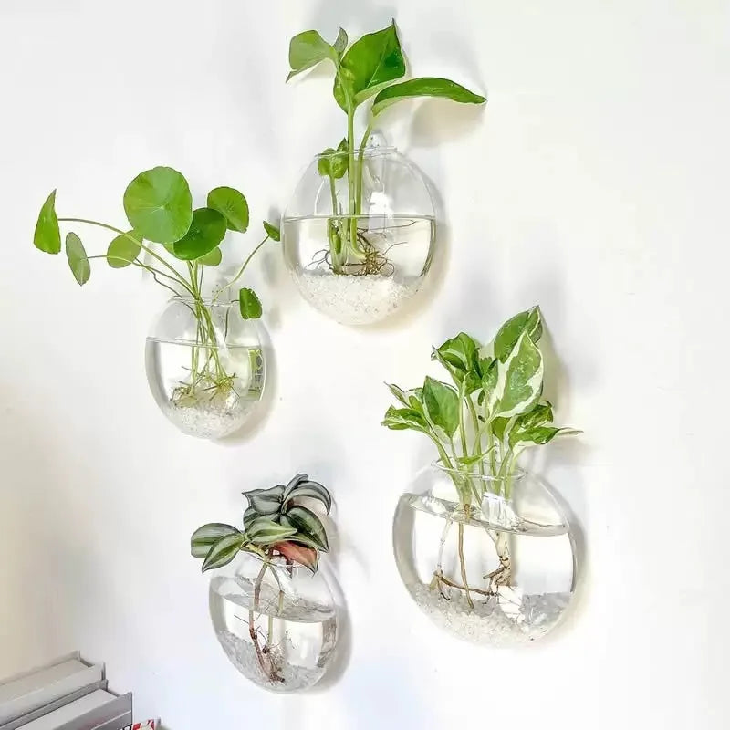 Vægophængt Glas Terrarium Plantesæt