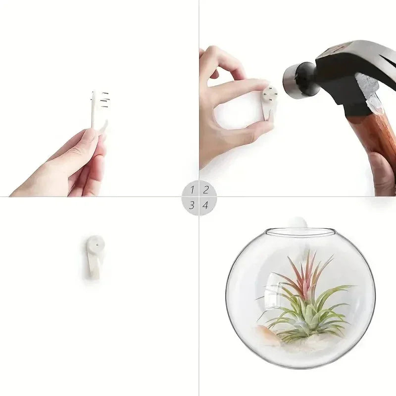 Vægophængt Glas Terrarium Plantesæt
