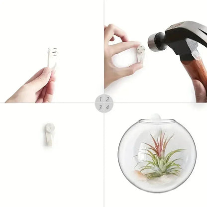 Vægophængt Glas Terrarium Plantesæt